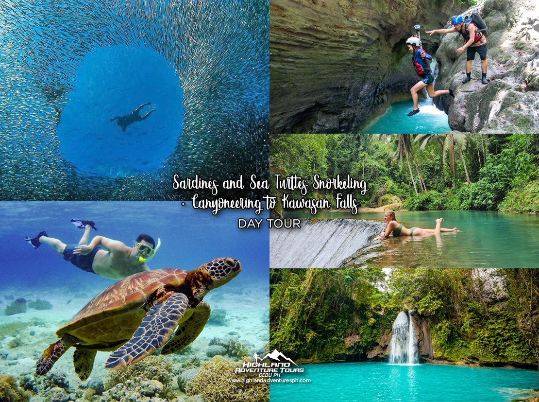Sardines and Sea Turtles Snorkeling and Canyoneering to Kawasan Falls - Highland Adventure Tours